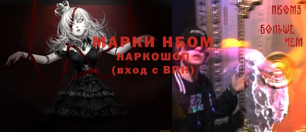 хмурый Каменка