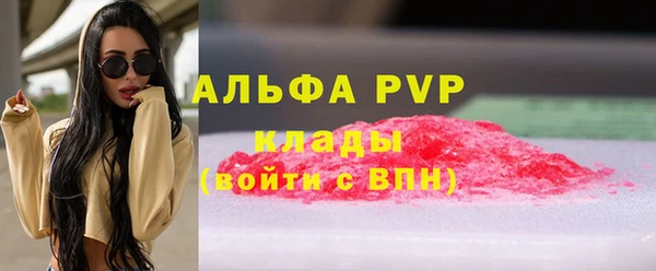 хмурый Каменка