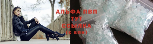 хмурый Каменка