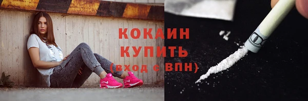 хмурый Каменка