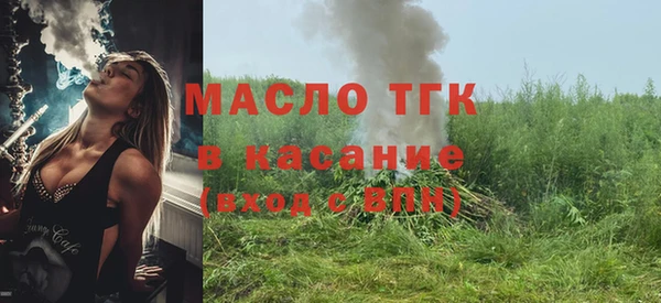 хмурый Каменка
